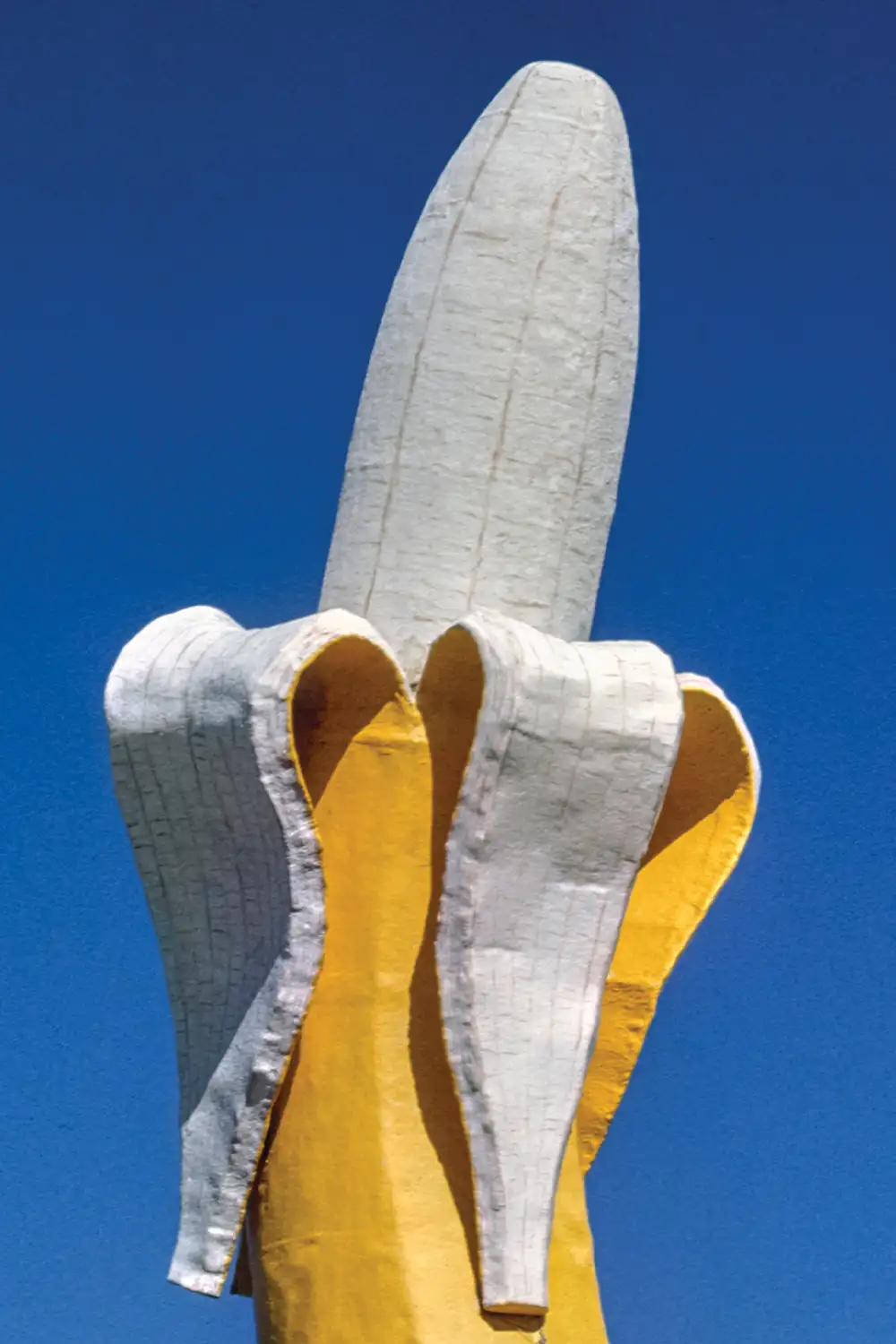 Banana Waterslide Art Print - Image 2