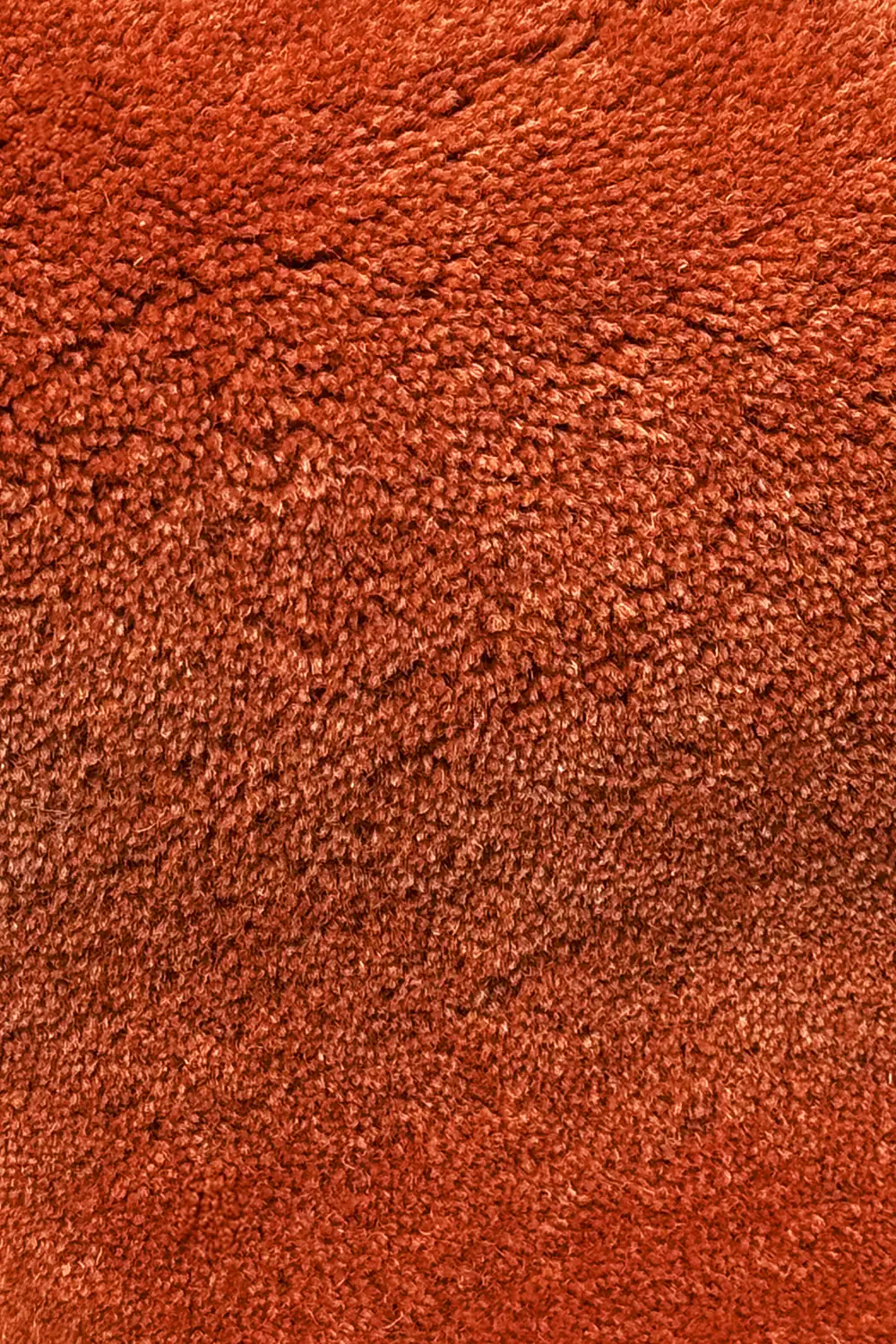 Burnt Orange Sculpted Edge Hand-Tufted Wool Rug - Image 5