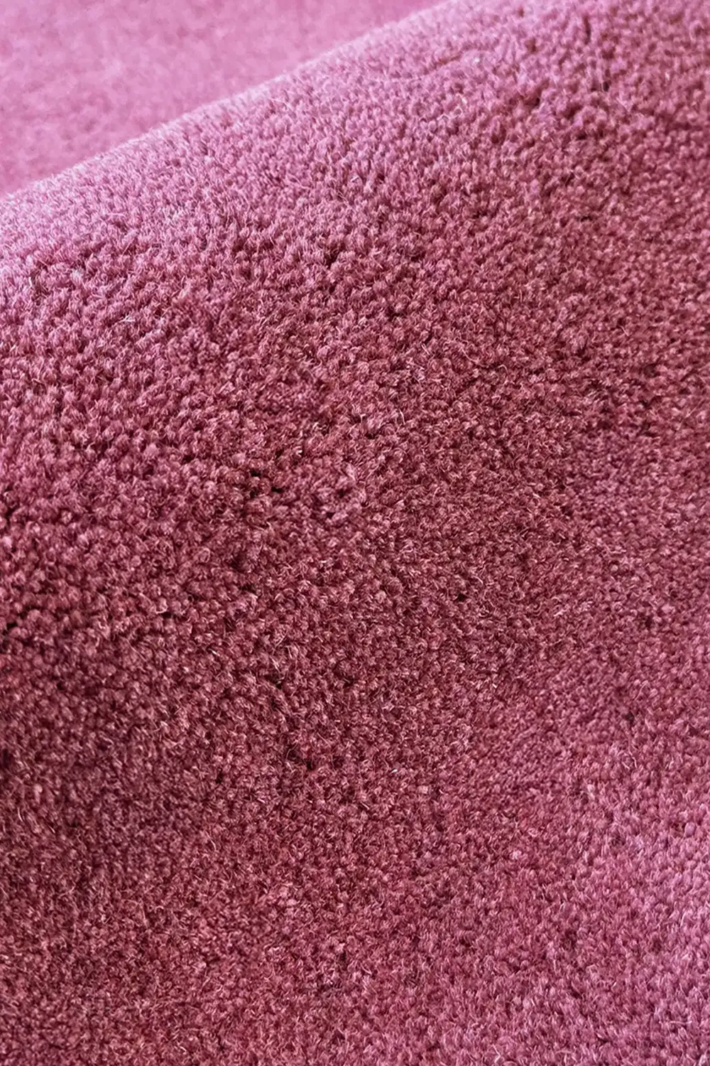 Contour Edge Hand-Tufted Wool Rug - Image 21