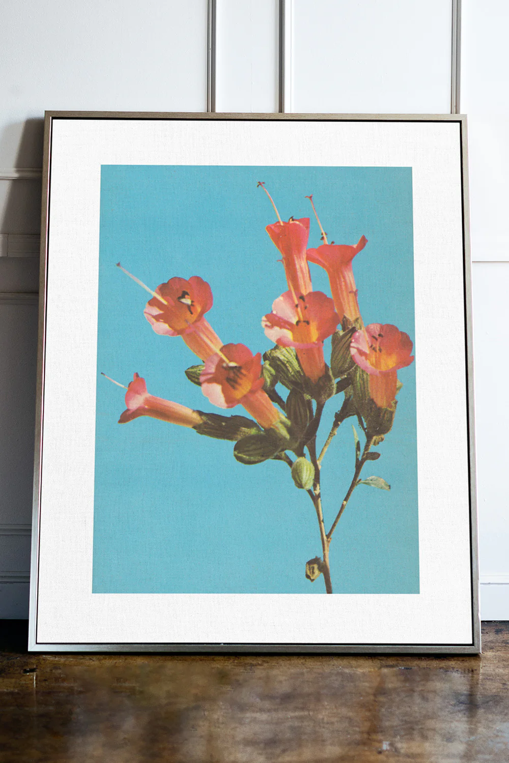 Kantuta Flower Pink Blossoms Teal Sky Fine Art Print - Image 3