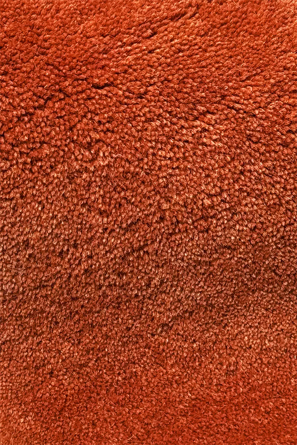 Solid Color Sculpted Edge Hand-Tufted Wool Rug - Image 7