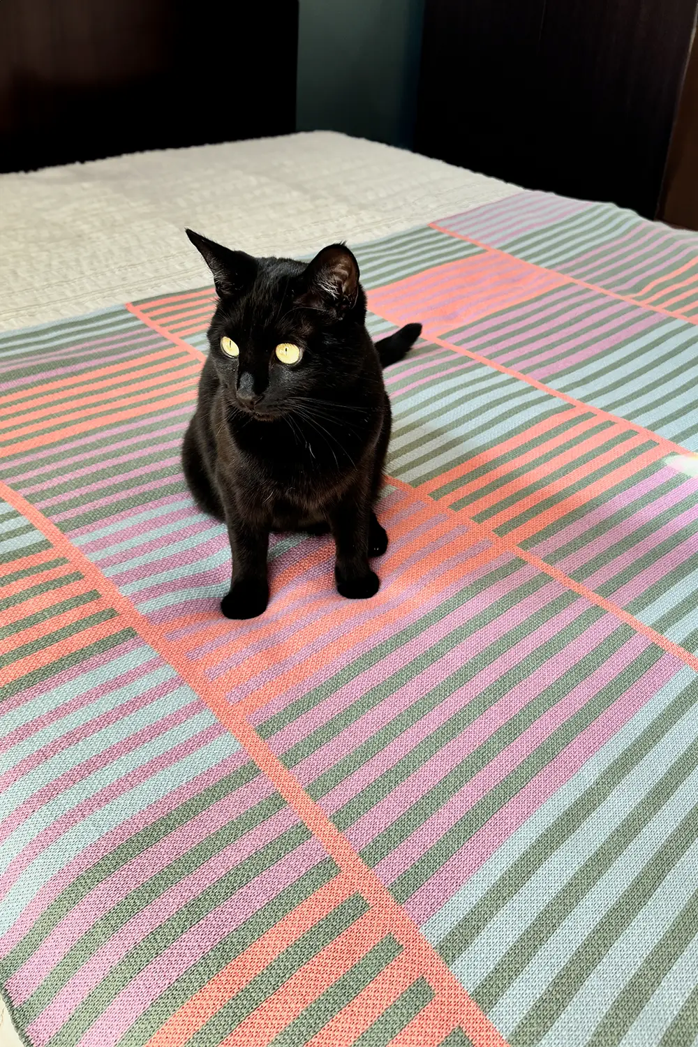 Sunrise Stripe Pastel Organic Cotton Knit Throw Blanket - Image 6