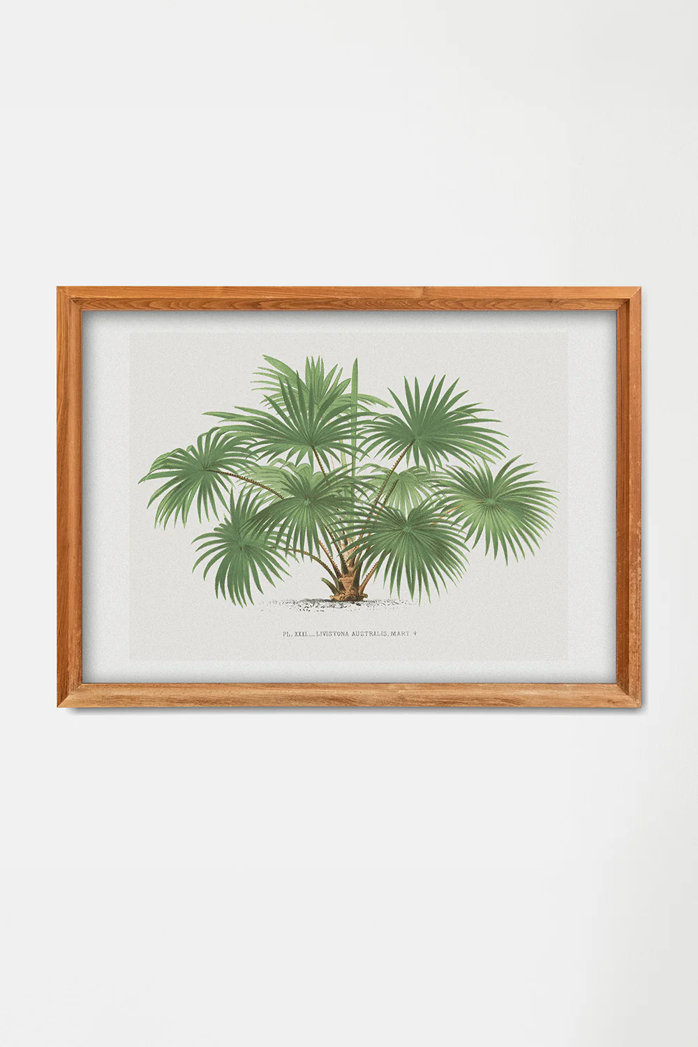 Vintage Palm Tree Landscape Art Print - Image 3