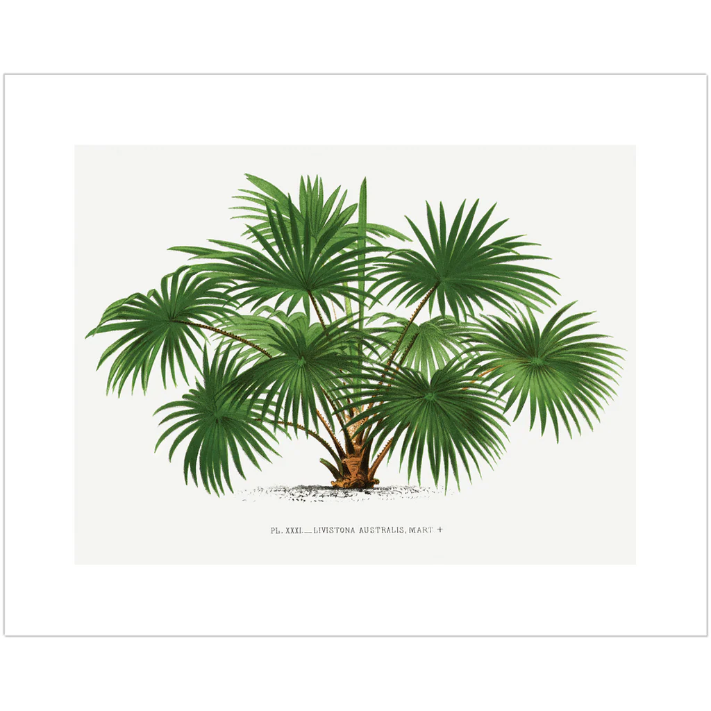 Vintage Palm Tree Landscape Art Print - Image 4