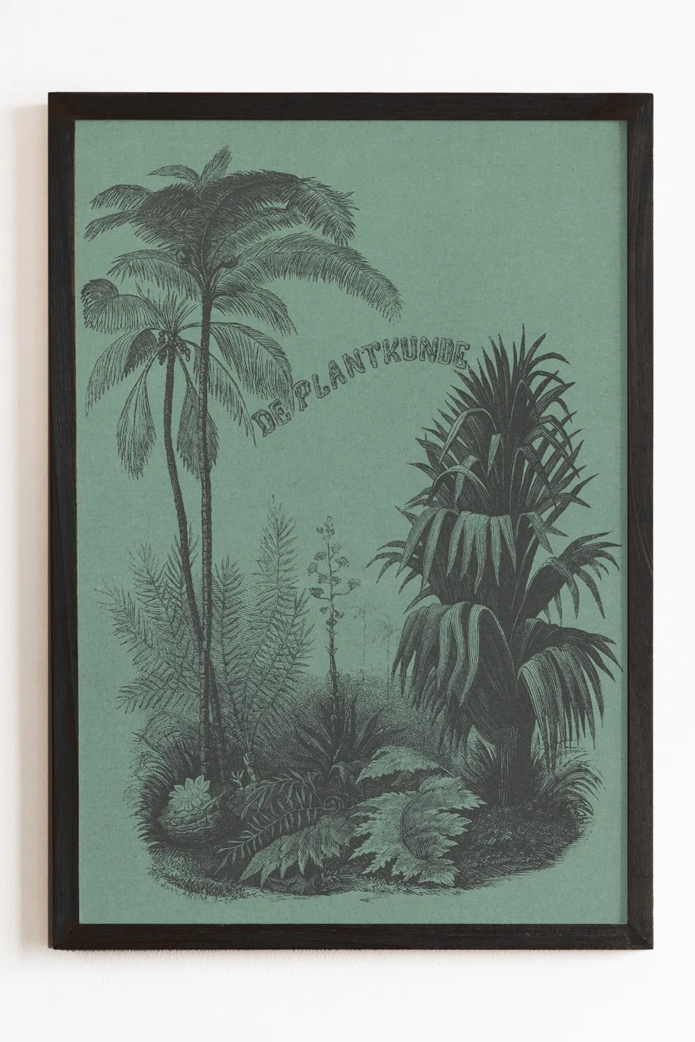 Vintage Deep Green Plant Art Print