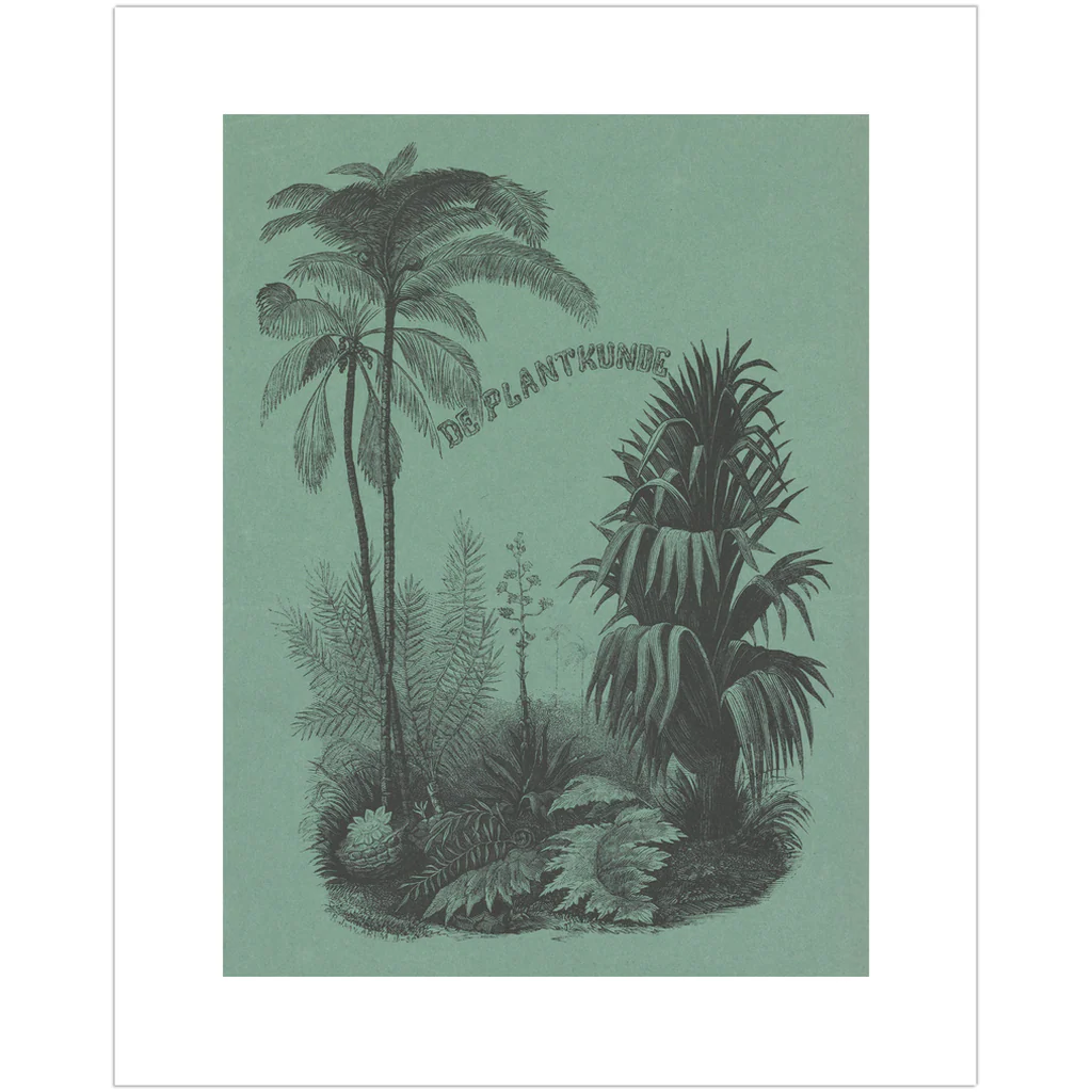 Vintage Deep Green Plant Art Print - Image 3