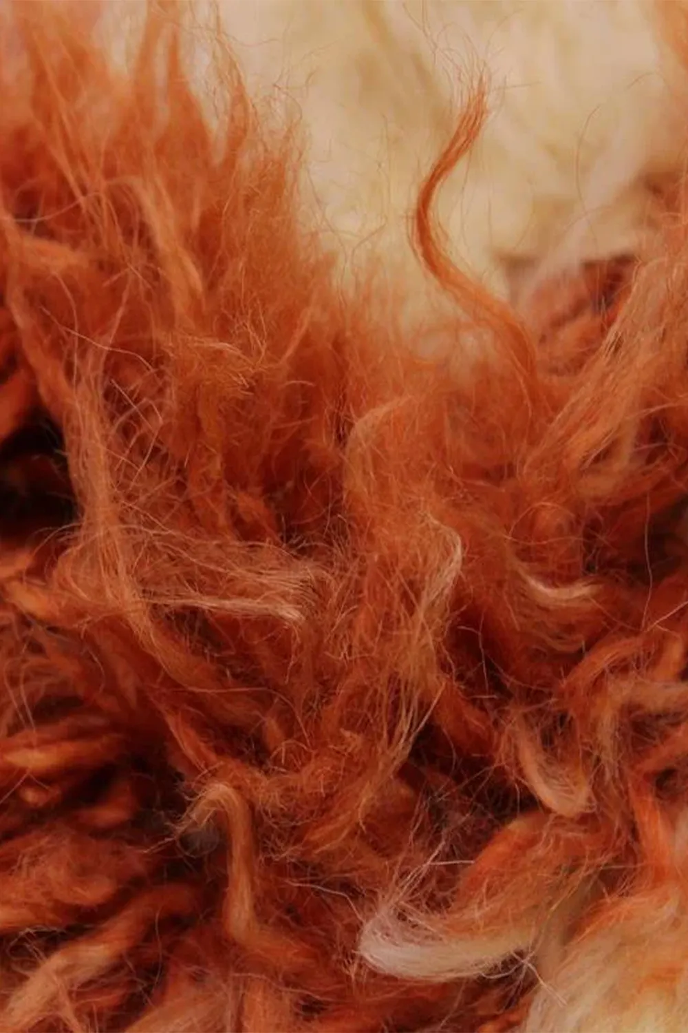 Burnt Orange and Cream Moroccan Shag Wool Rug - Image 3